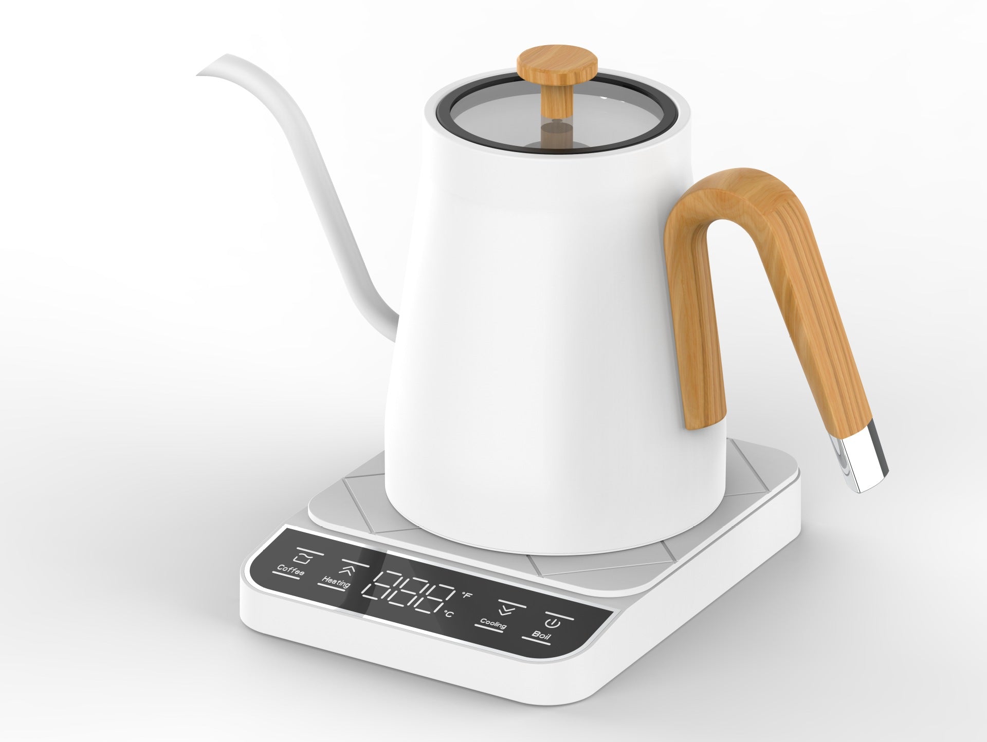 Temperature Control Gooseneck Electric Kettle