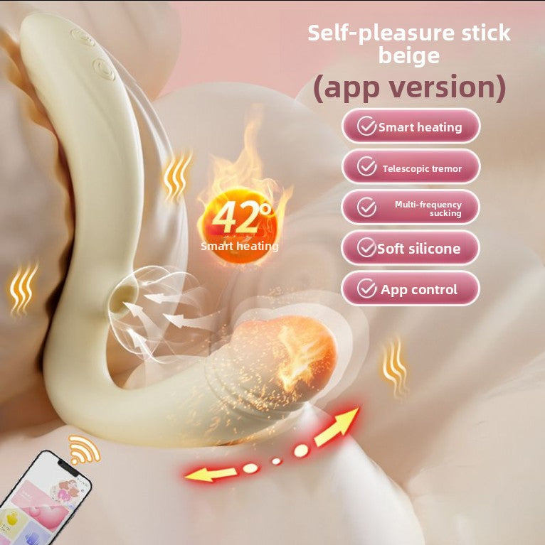 Adult sex toys