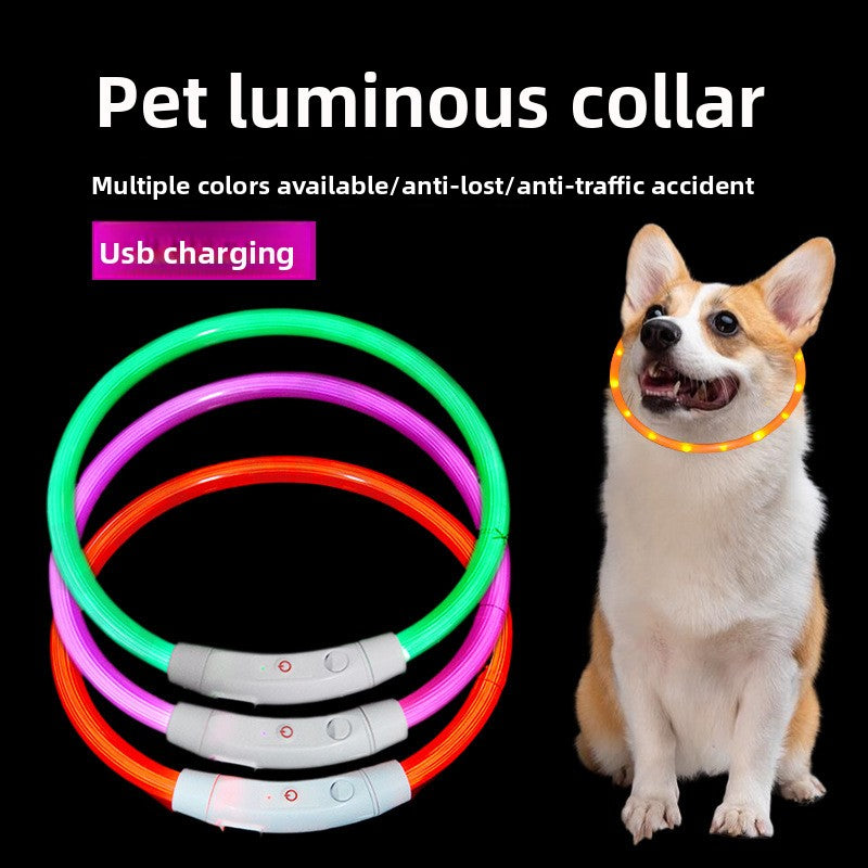 Collar de seguridad para mascotas LED recargable por USB