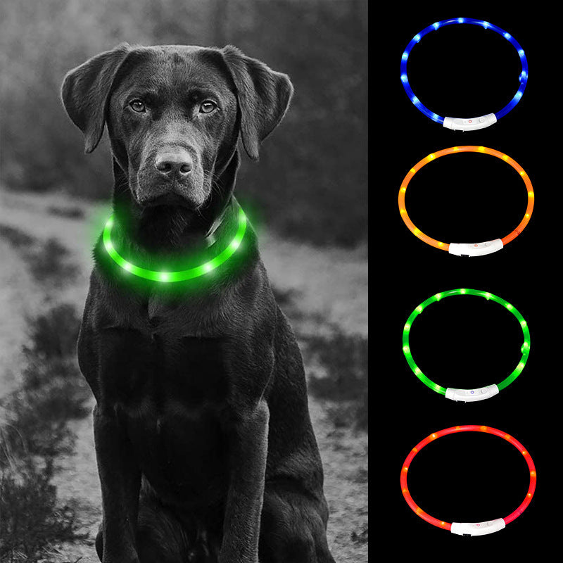 Collar de seguridad para mascotas LED recargable por USB