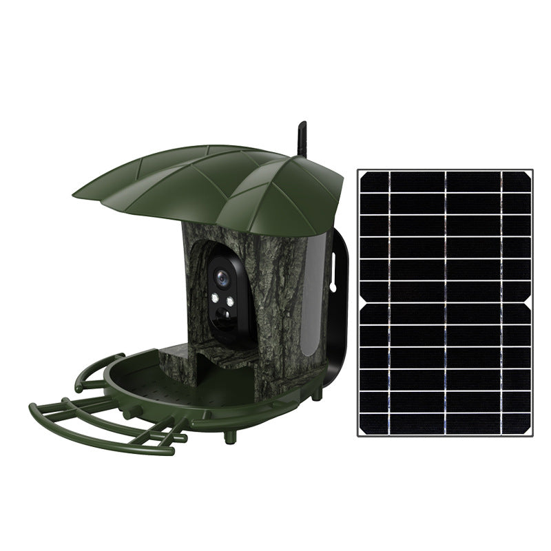 Comedero para pájaros AI con energía solar con cámara y visión nocturna